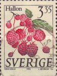 Raspberries [Franbuesas]