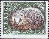 West European Hedgehog (Erinaceus europaeus)