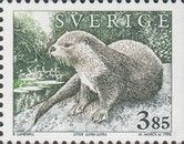 Eurasian Otter (Lutra lutra)