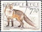 Red Fox (Vulpes vulpes)
