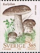 Cep (Boletus edulis)