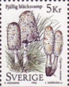 Shaggy ink caps (Coprinus comatus)