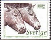 Przewalski's Horse (Equus ferus przewalskii)