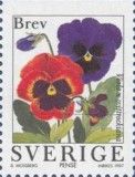 Pansy (Viola wittrockiana)
