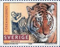 Tiger (Panthera tigris)
