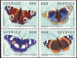 Red Admiral (Vanessa atalanta)