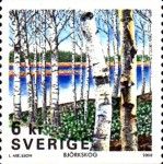 Birch trees