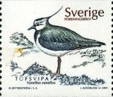 Northern Lapwing (Vanellus vanellus)