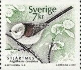 Long-tailed Tit (Aegithalos caudatus)