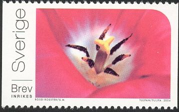 Heart of flowers