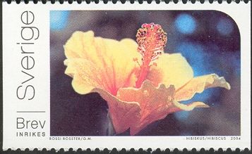Heart of flowers