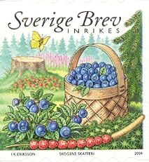 Blueberries