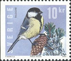 Great Tit (Parus major)