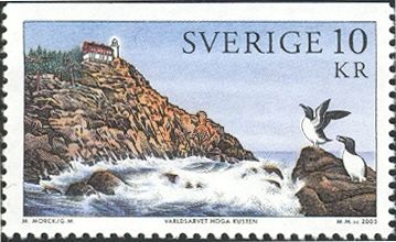 Högbonden Lighthouse, Razorbill (Alca torda) 