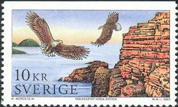 Storön Nature Reserve, White-tailed Eagle (Haliaeetus albici