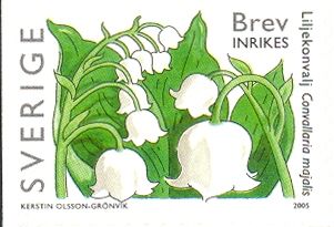 Lily of the valley (Convallaria majalis)
