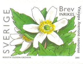 Anemone nemorosa