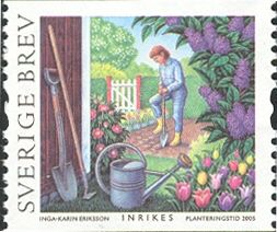 The Summer in the Garden