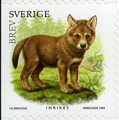 Wolf (Canis lupus)