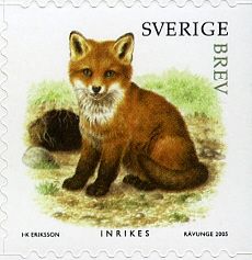 Red Fox (Vulpes vulpes)