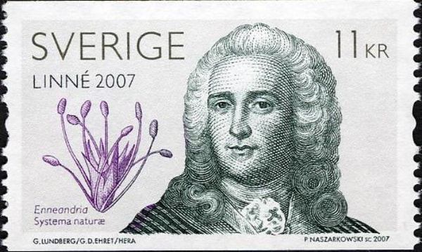 Carl Linnaeus (Linné) (1707-2007)