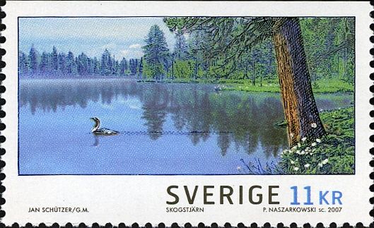 Landscapes in Summer, Lake in Muddus National Park