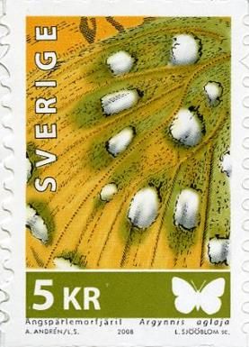 Dark Green Fritillary (Argynnis aglaja) - Detail
