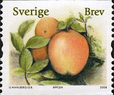 Apples