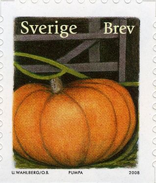 Pumpkin