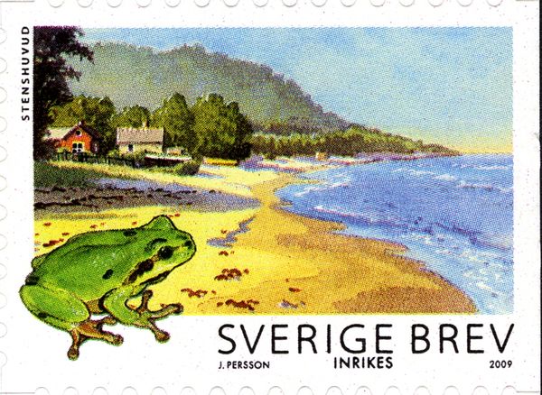 European Tree Frog (Hyla arborea), Stenshuvud National Park