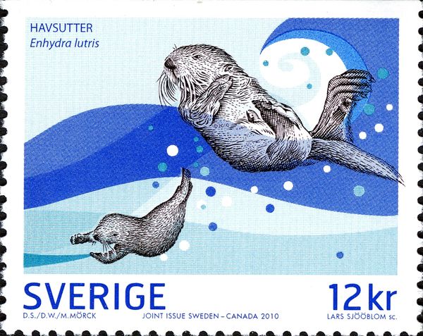 Sea Otter (Enhydra lutris)