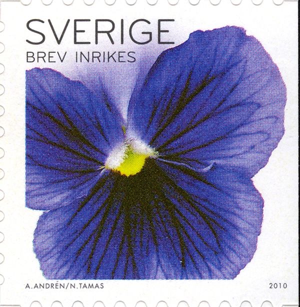 Pansies