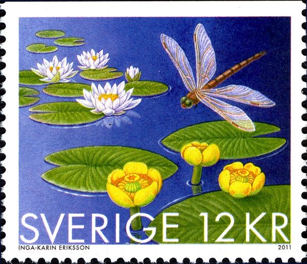 Nymphaea alba & Nuphar lutea