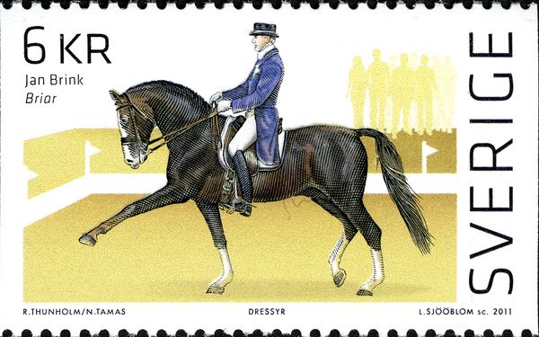 Jan Brink on Briar