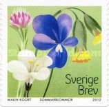 Hairy Violet (Viola hirta)