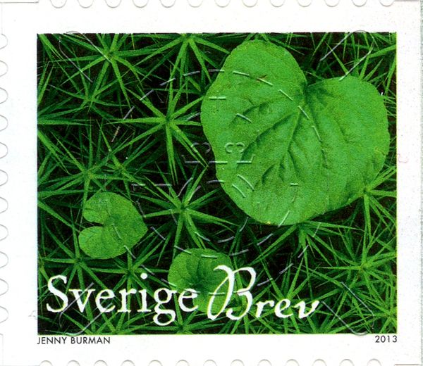 Heart-shaped Leaves