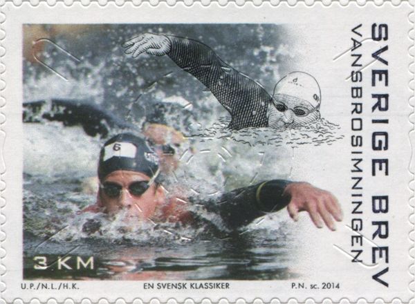 Vansbro Swimming