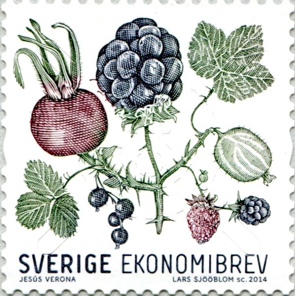 Berries and Leaves