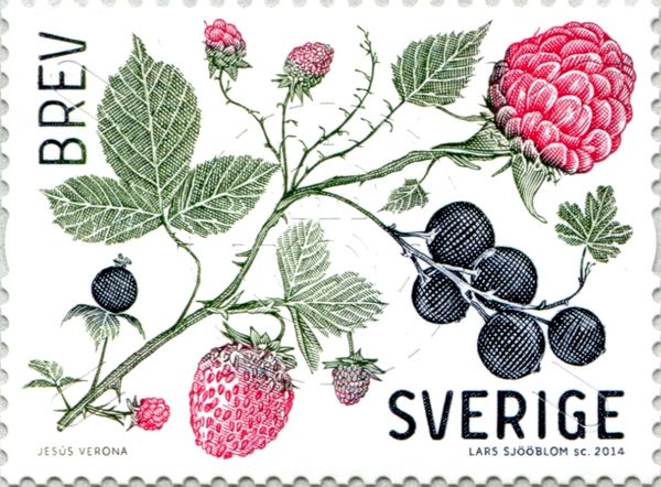 Berries and Leaves