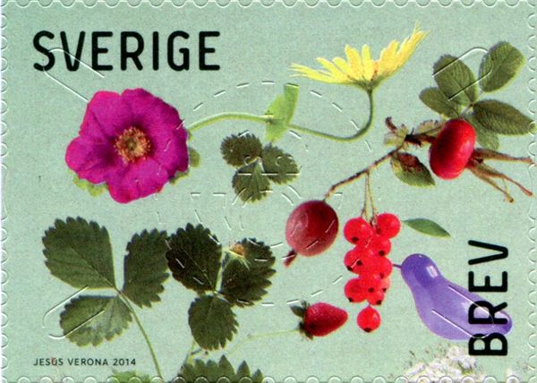 Berries and Leaves