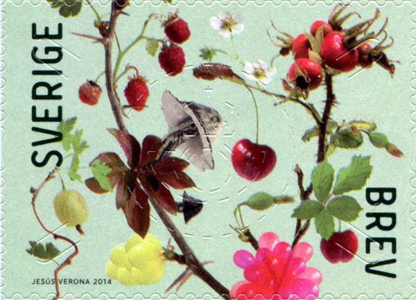 Berries and Leaves