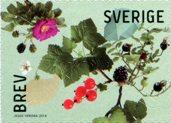 Berries and Leaves