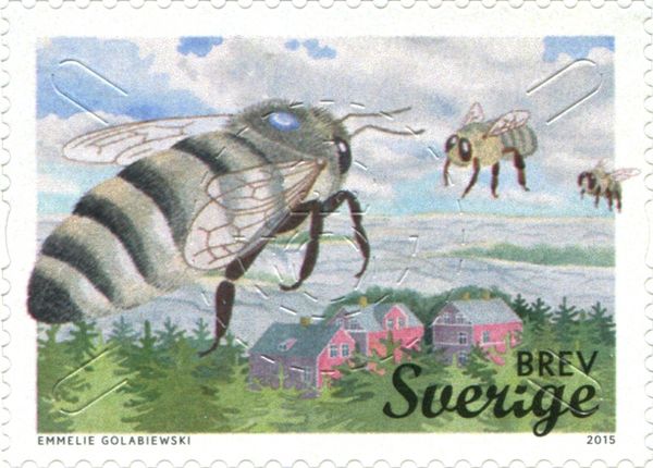 European Honey Bee (Apis mellifera)