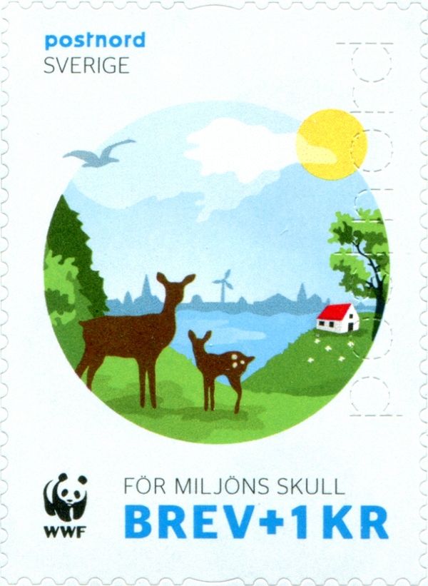 Red Deer (Cervus elaphus)