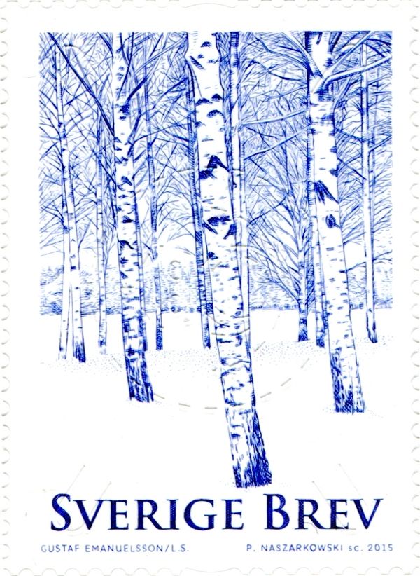 Winter Trees
