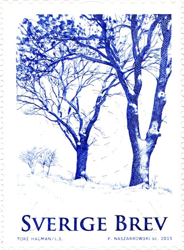 Winter Trees