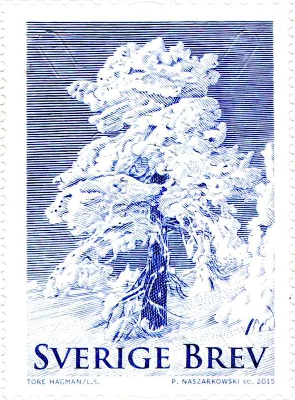 Winter Trees