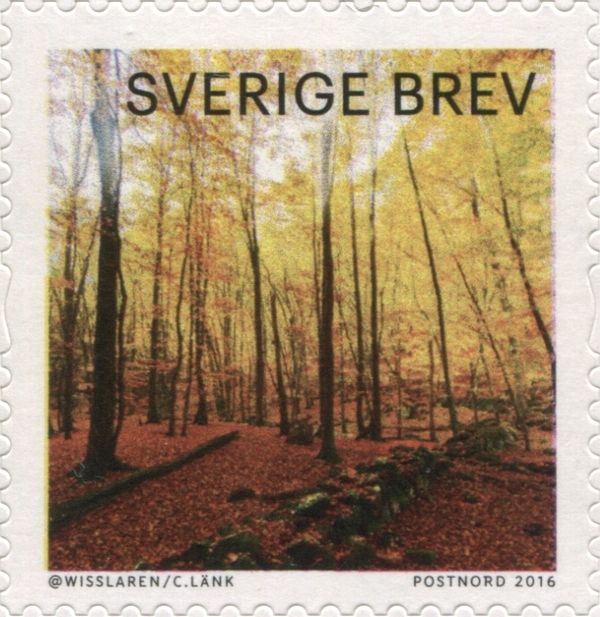 Trees with Autumn Leaves