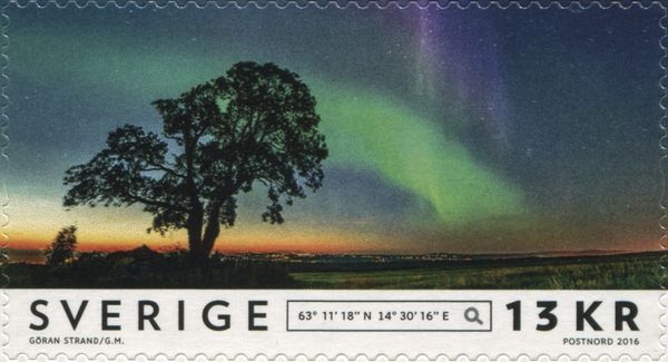 Aurora Northern Light
