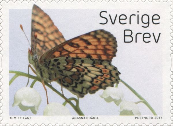 Glanville Fritillary (Melitaea cinxia)